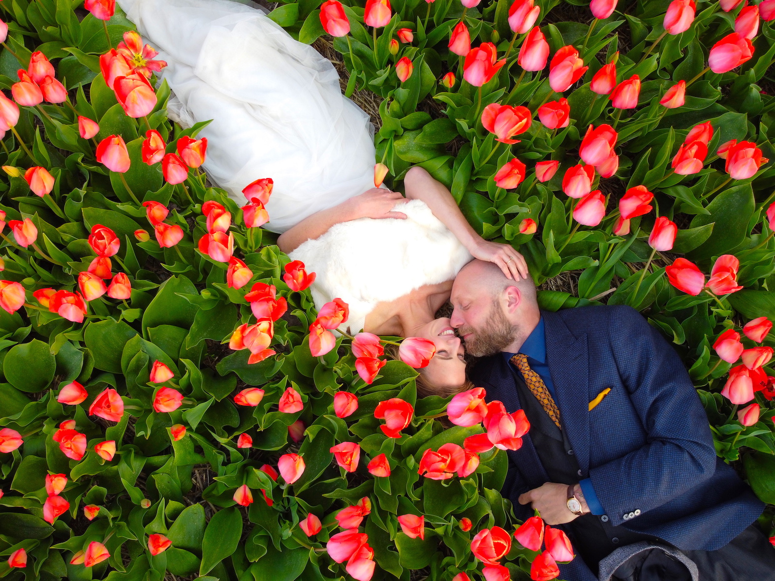 Drone photo of married couple in Dutch tulip fields by Amsterdam photographer Tom van der Leij