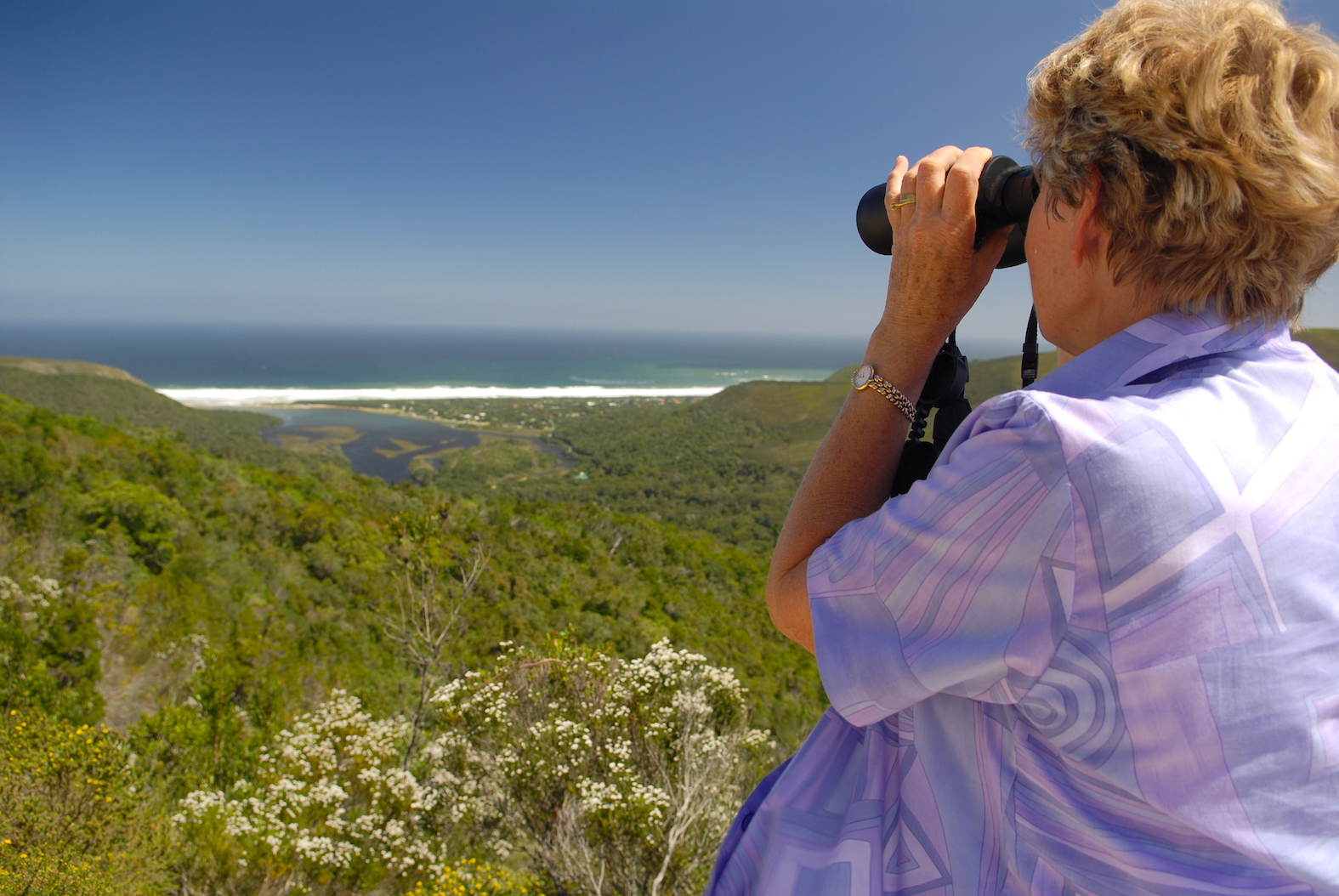 Fotografiereis Zuid-Afrika door Tom van der Leij Tsitiskamma, Nature's Valley